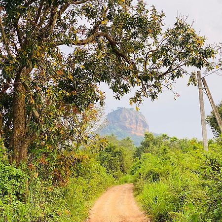 Hotel Sigiriya Kele ภายนอก รูปภาพ