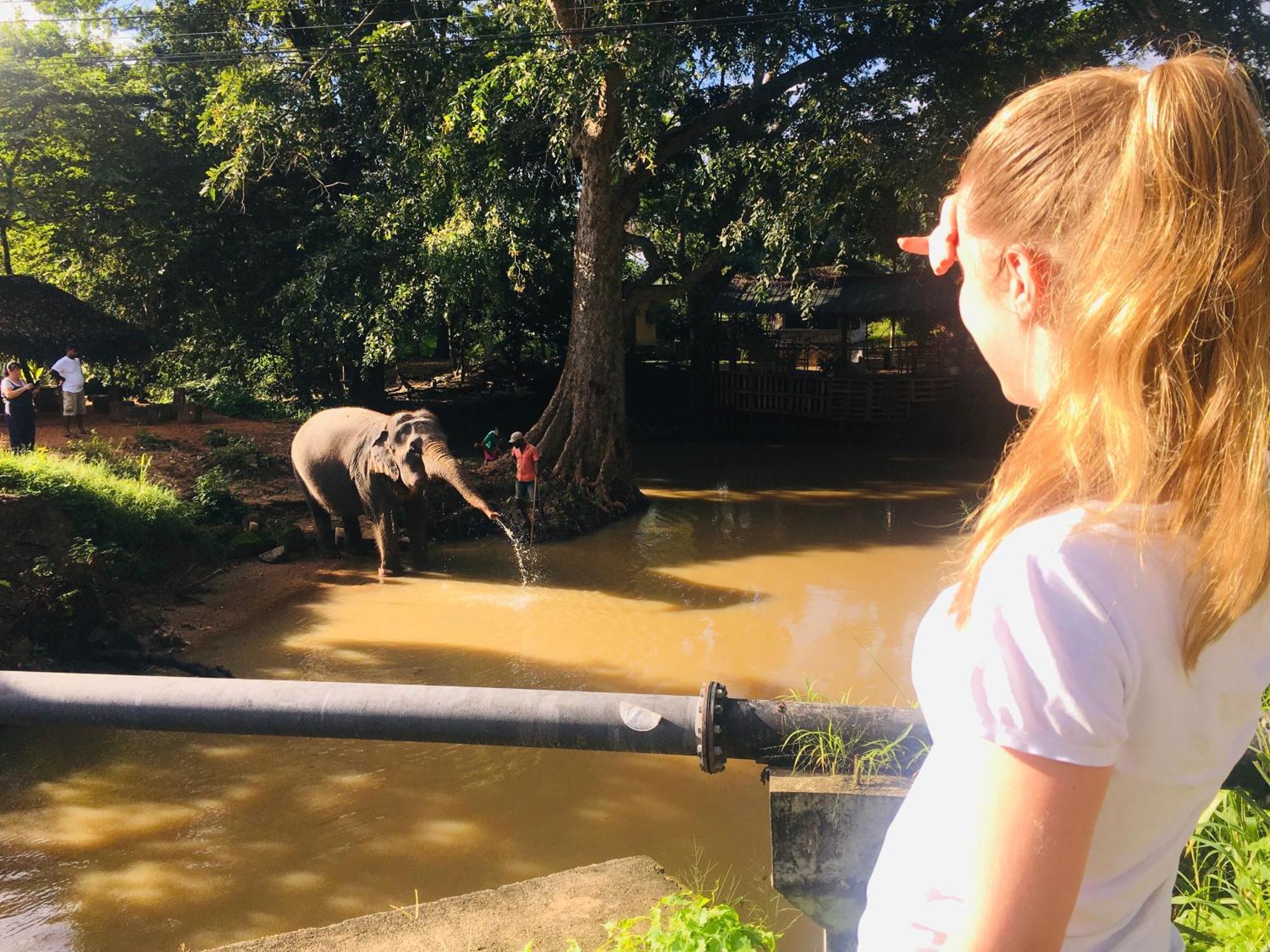Hotel Sigiriya Kele ภายนอก รูปภาพ